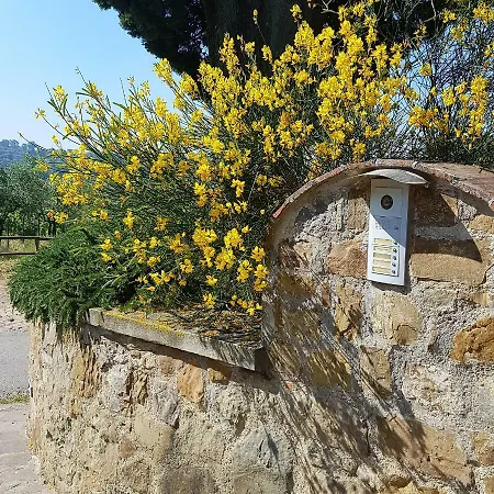 Podere Piana 아파트 *