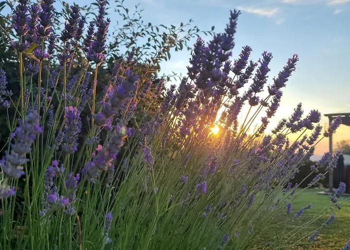 Podere Piana Reggello