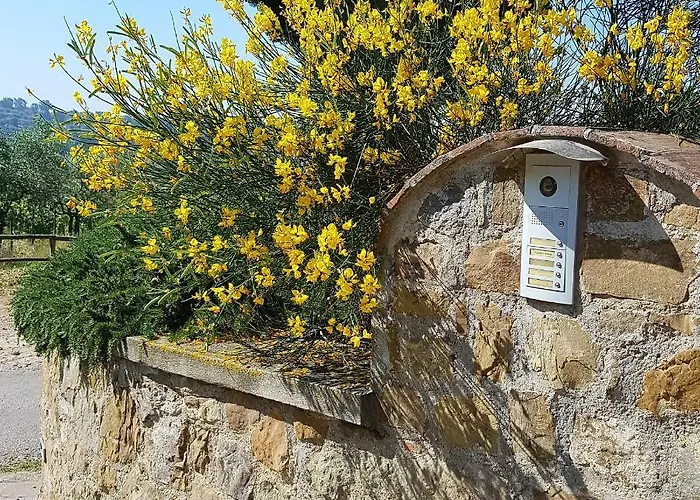 Podere Piana Διαμέρισμα *